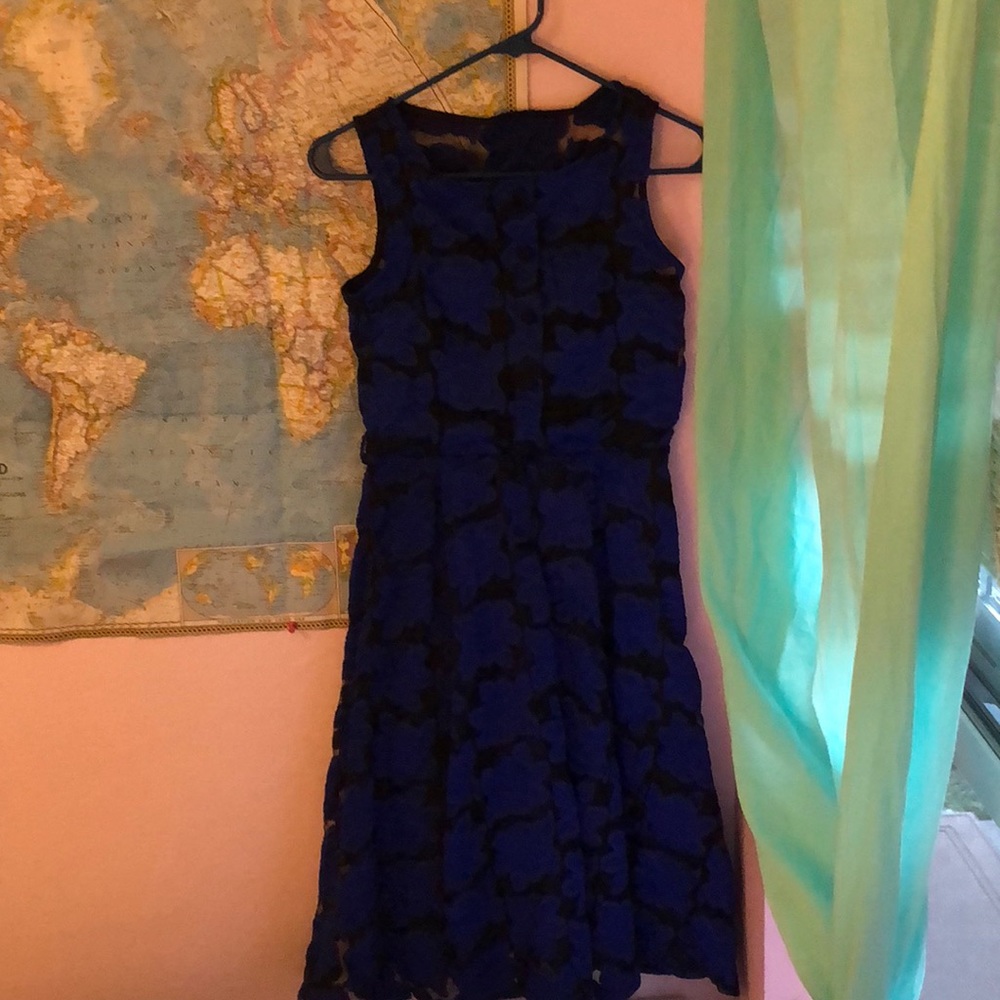 Blue Floral Vintage Swing Dress